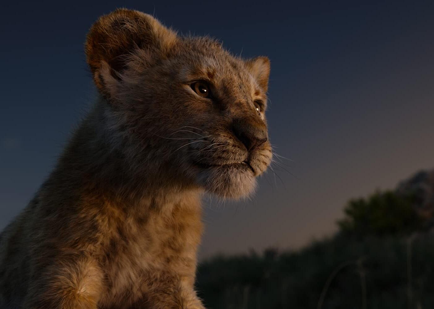 #63. The Lion King (2019)
